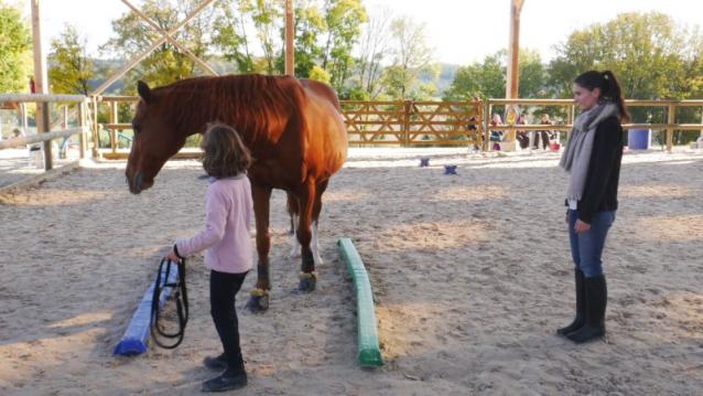 équitation éthologique