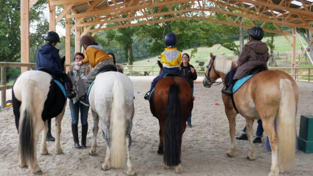 apprentissage de l'équitation