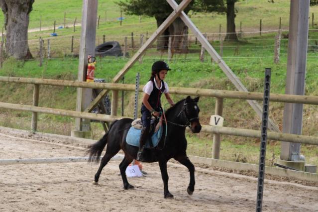 cours de poney