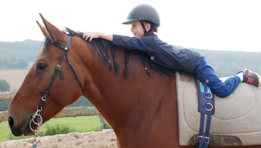 Centre d'équitation