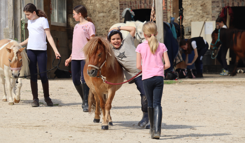 Centre d'équitation