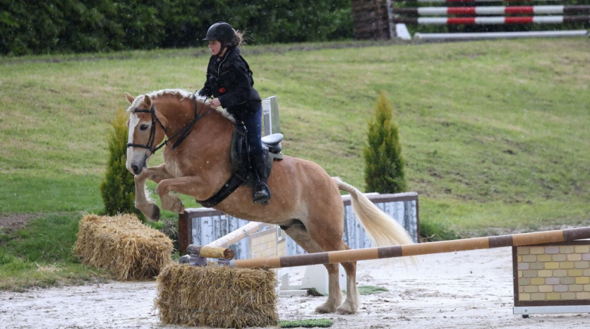 Cours de saut